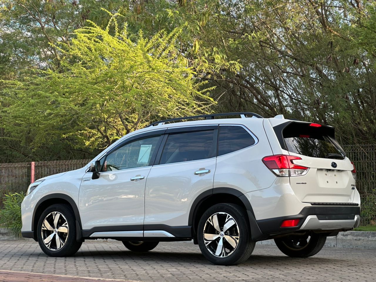 FORESTER thumbnail 6